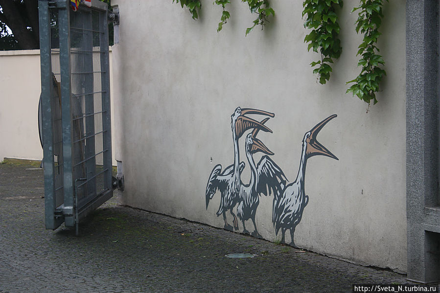 На входе в зоопарк нас встречают нарисованные на стене пеликаны Прага, Чехия