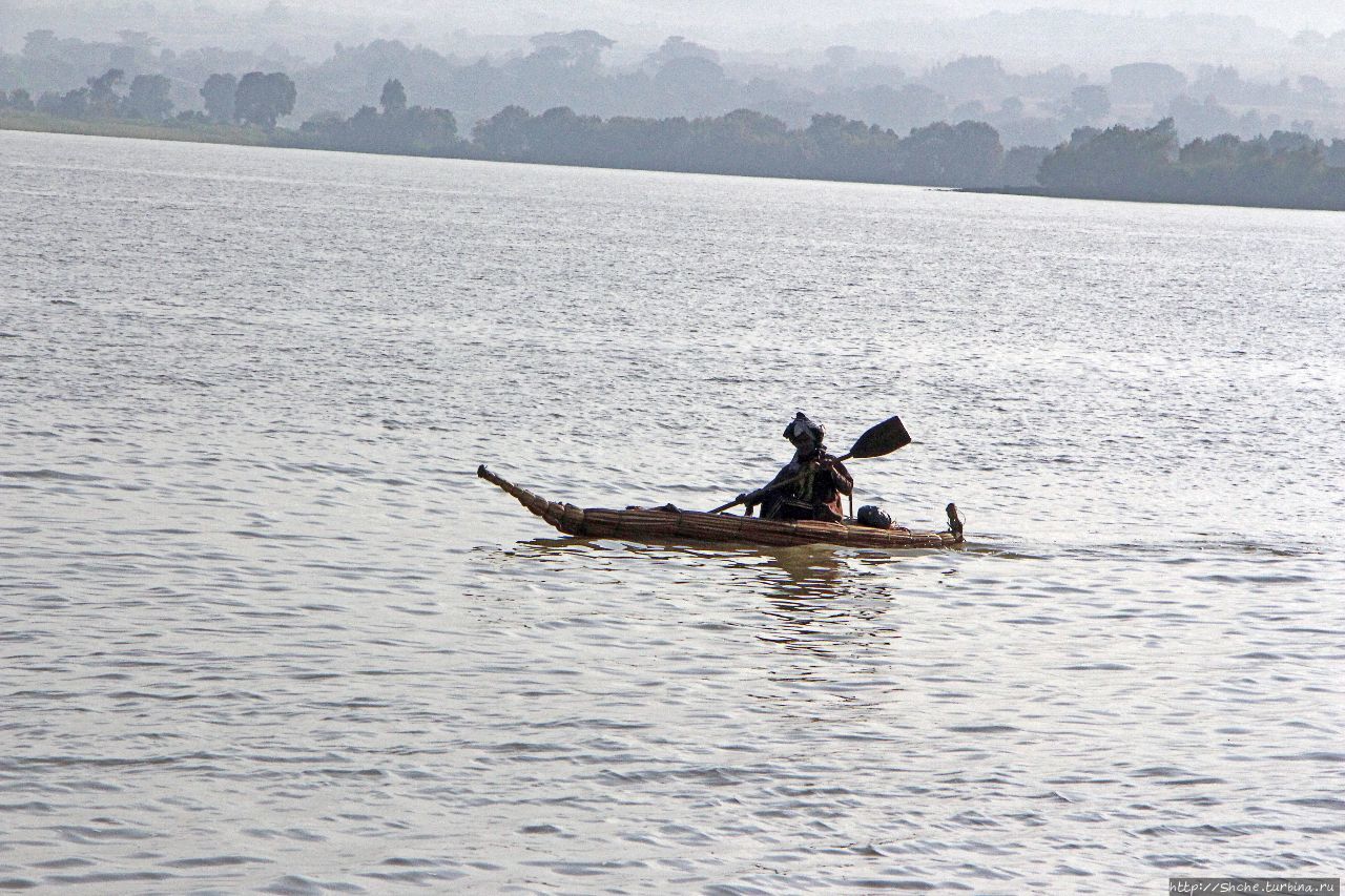 На Тане Озеро Тана, Эфиопия
