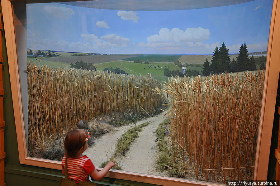 Полевая дорога. Хорошо бы по ней прогуляться