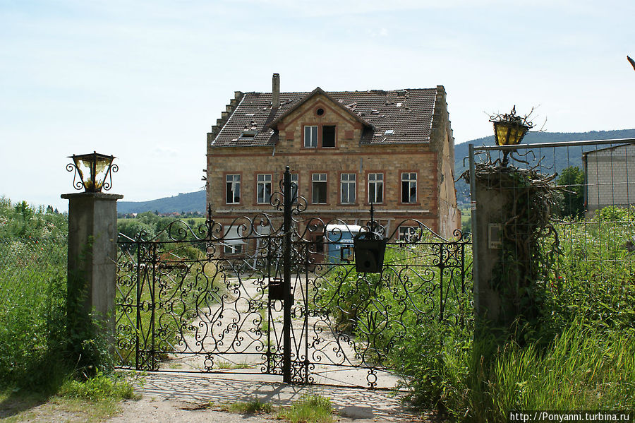 Дегустация вин в монастыре Хайльсбрук Еденкобен, Германия