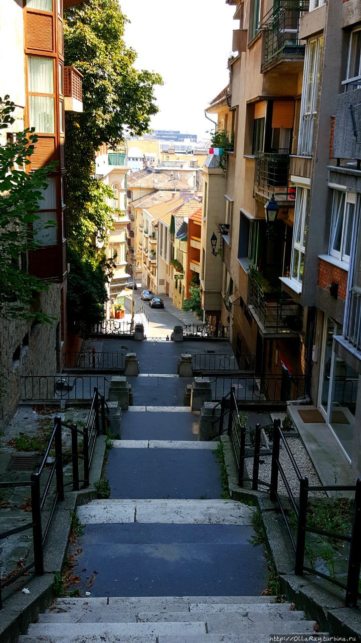 А это характерный ландшафт холмистой части Буды. Бесконечные лестницы... Будапешт, Венгрия