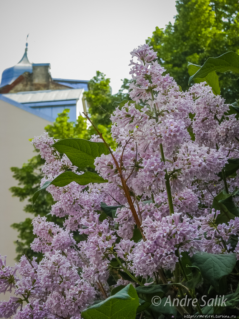 Лето. Рига. Июнь Рига, Латвия