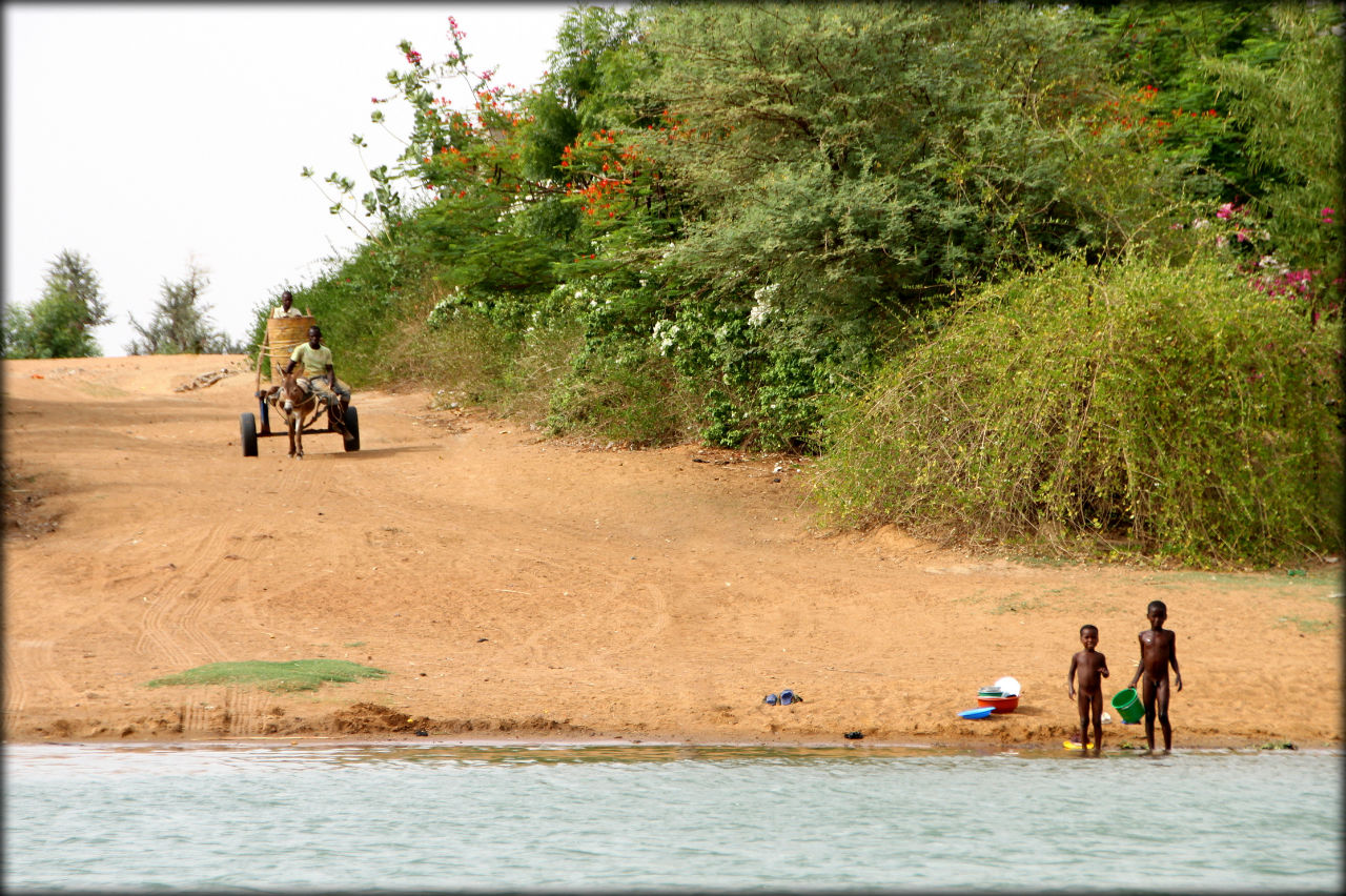 Жизнь на берегу или прогулка по реке Нигер Область Сегу, Мали