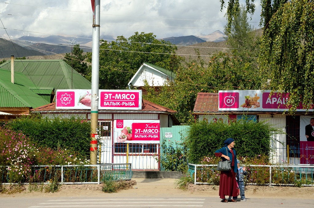 Искупаться в Иссык-Куле Чолпон-Ата, Киргизия