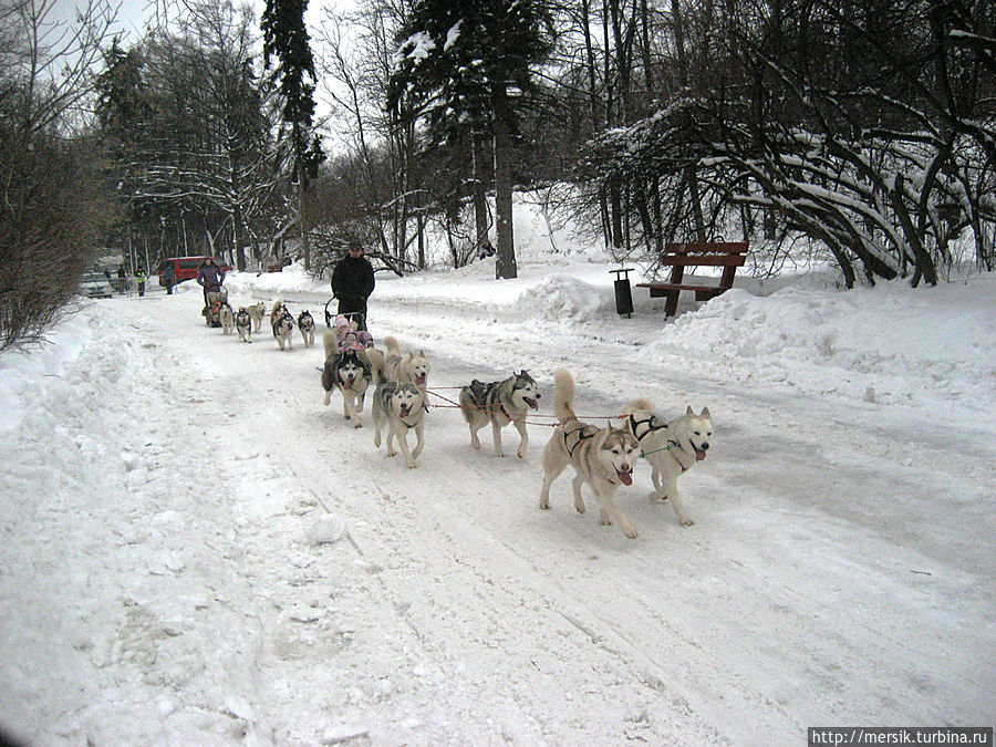 Горнолыжный праздник на Воробьёвых горах Москва, Россия