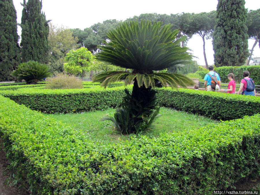 Палатин Рима. Рим, Италия