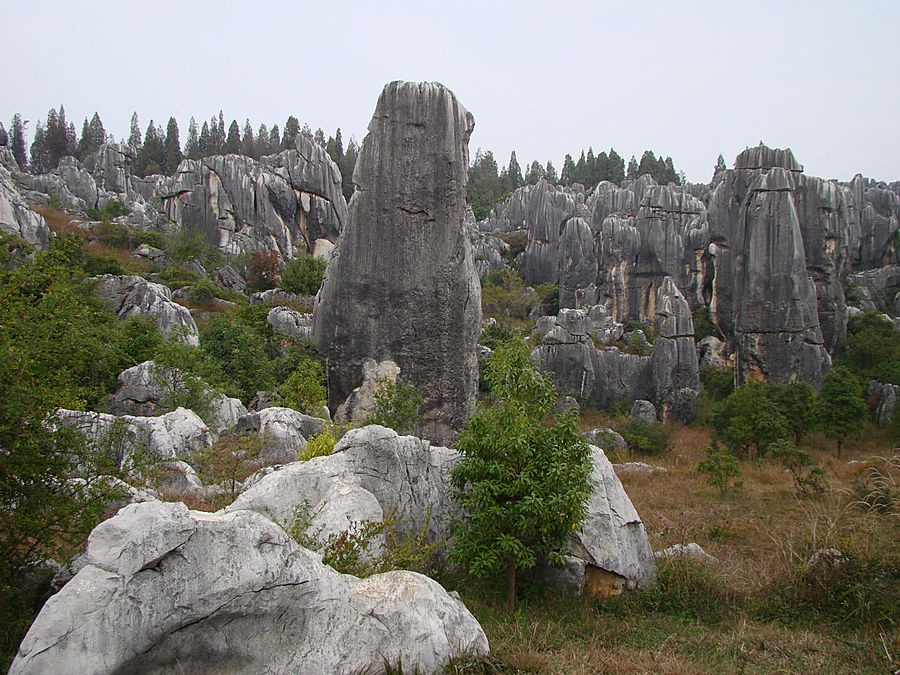 Осень в Каменном лесу Куньмин, Китай