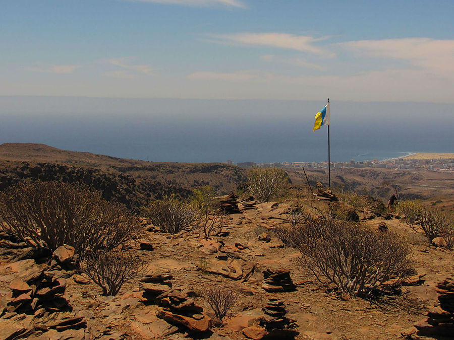 Канарский триколор