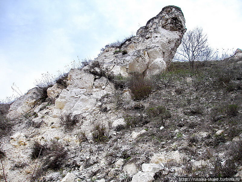 Меловые горы в донских степях Лысогорка, Россия