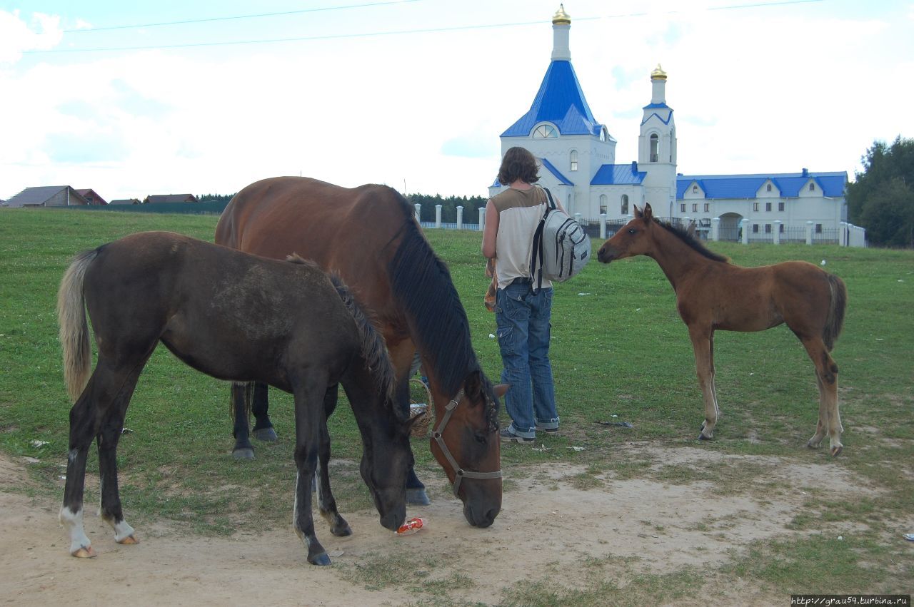 Где валяются кони Трусово, Россия