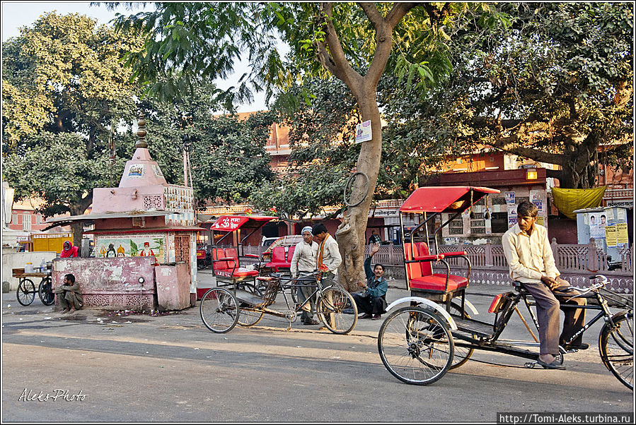 Удивительно, что велорикш в Джайпуре намного больше, чем тук-туков...
* Джайпур, Индия