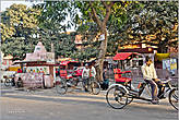 Удивительно, что велорикш в Джайпуре намного больше, чем тук-туков...
*