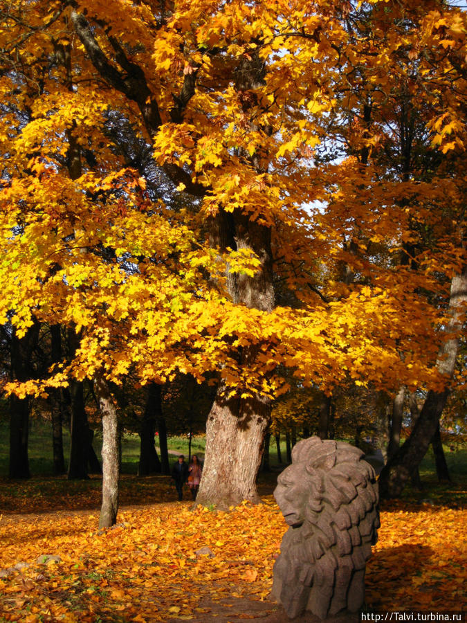 Прощание с Монрепо. Выборг, Россия