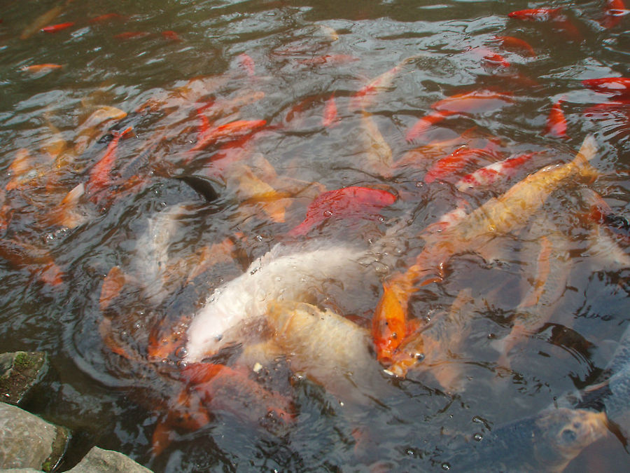 Колосс в Лешане Лешан, Китай