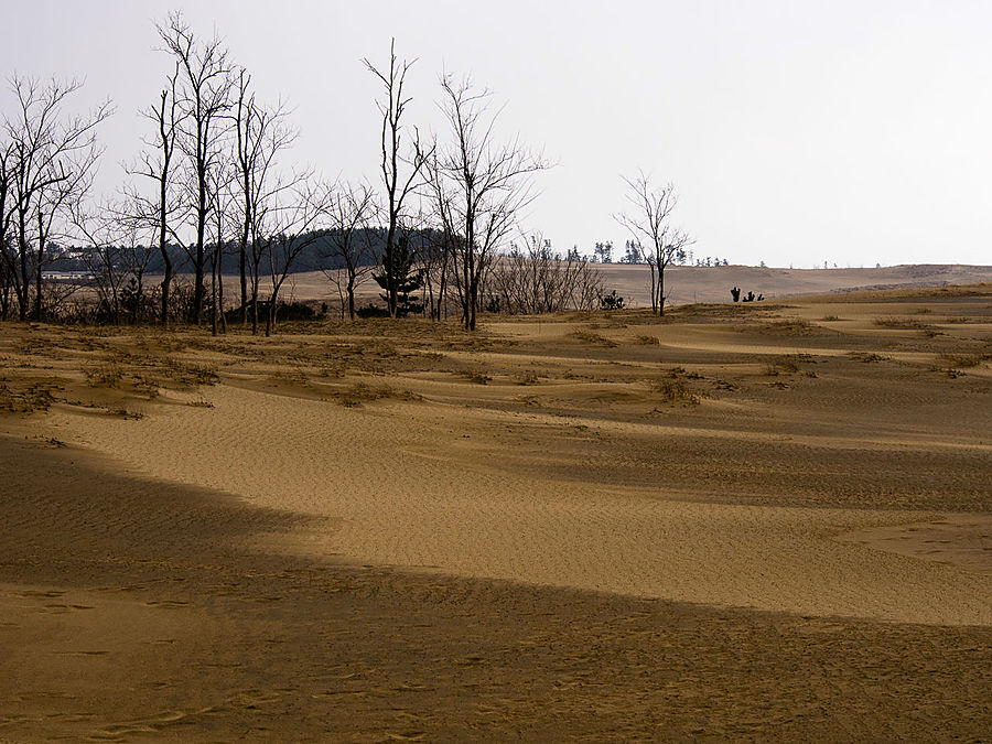 Полосатые дюны Тоттори Тоттори, Япония