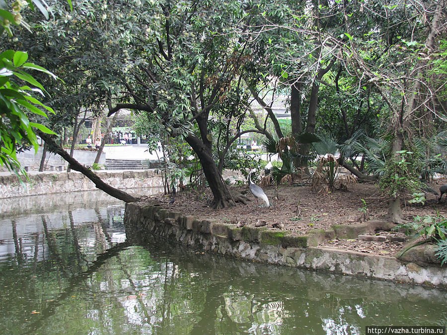 Зоопарк Гуанджоу.Продолжение знакомства. Гуанчжоу, Китай