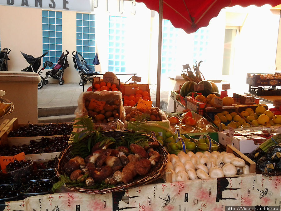 Серенада солнечной марины, ч.14 Монте-Карло, Монако