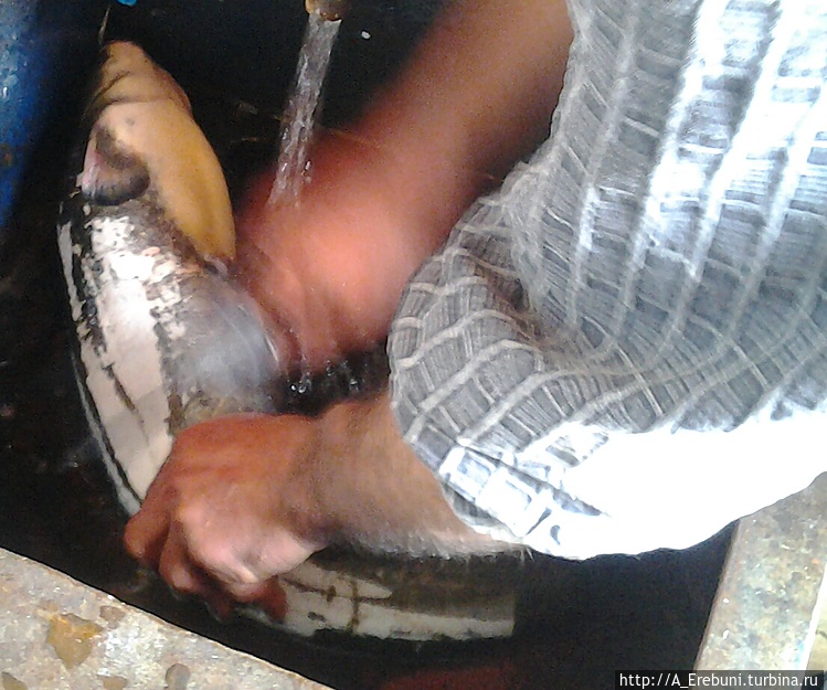 рыба локо в армении. Смотреть фото рыба локо в армении. Смотреть картинку рыба локо в армении. Картинка про рыба локо в армении. Фото рыба локо в армении рыба локо в армении. Смотреть фото рыба локо в армении. Смотреть картинку рыба локо в армении. Картинка про рыба локо в армении. Фото рыба локо в армении