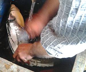 рыба локо в армении. Смотреть фото рыба локо в армении. Смотреть картинку рыба локо в армении. Картинка про рыба локо в армении. Фото рыба локо в армении рыба локо в армении. Смотреть фото рыба локо в армении. Смотреть картинку рыба локо в армении. Картинка про рыба локо в армении. Фото рыба локо в армении