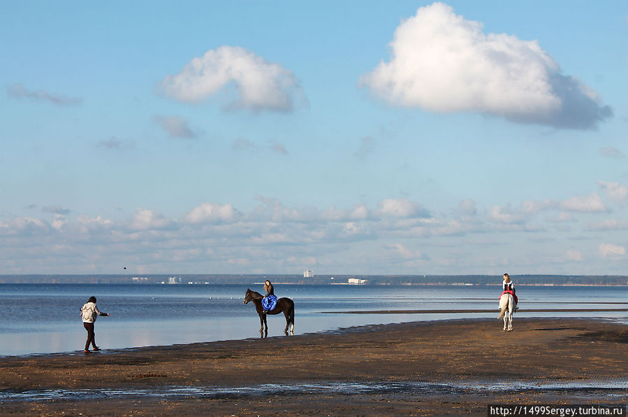 Берег Сестрорецк, Россия