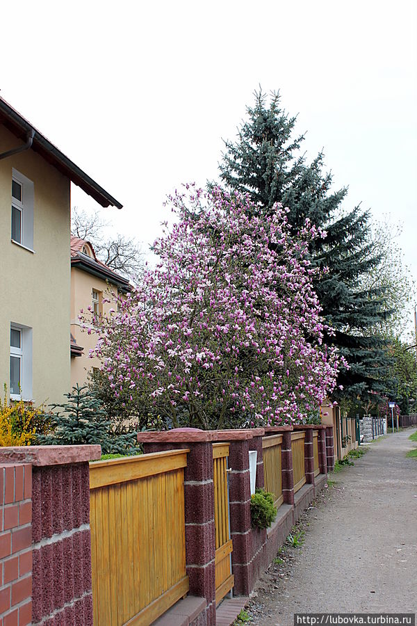 Весенняя Германия Германия