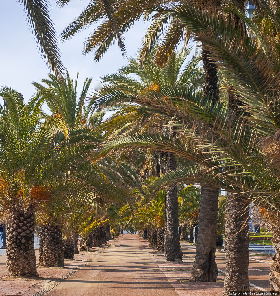 Пляж Барселоны Нова Икария (Platja de la Nova Icària) Барселона, Испания