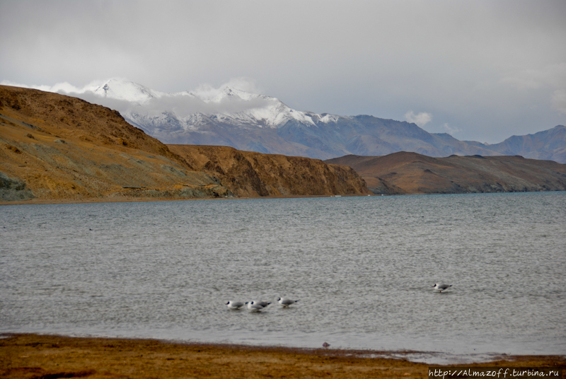 Первые Тибетские хроники. Долгая дорога из Нгари в Лхасу. Озеро Манасаровар, Китай