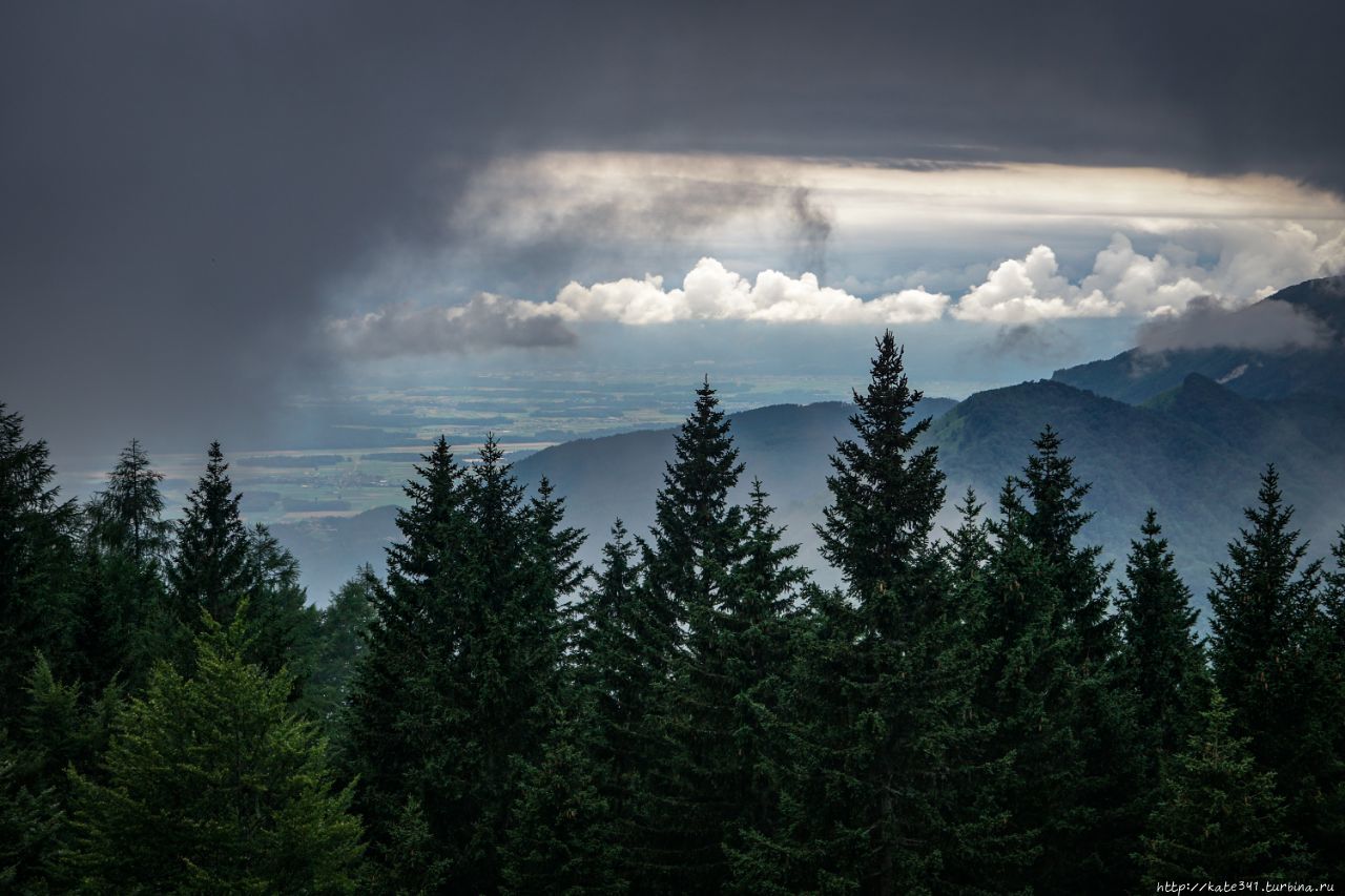 Карниола