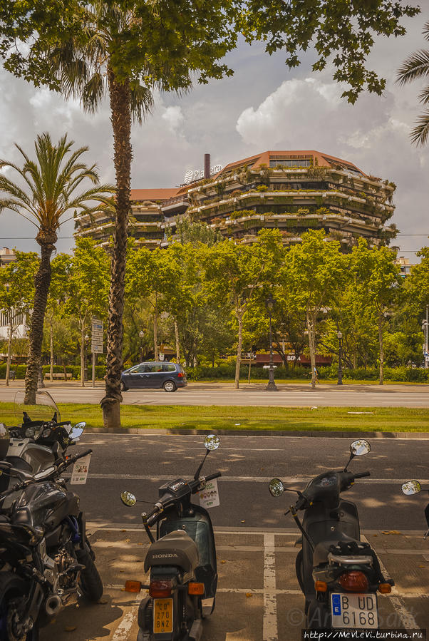 Пешком по Барселоне Барселона, Испания