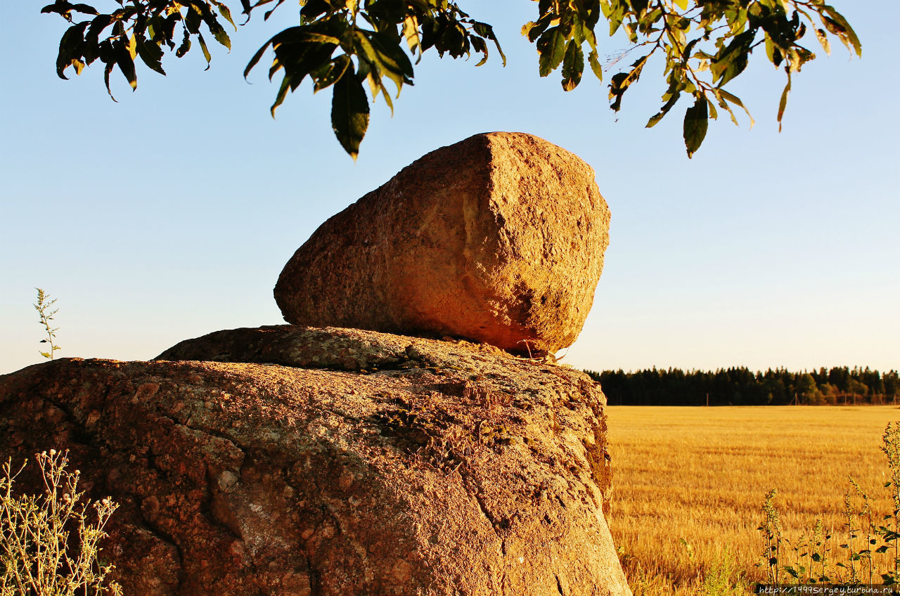 Воспоминания #3 Санкт-Петербург и Ленинградская область, Россия