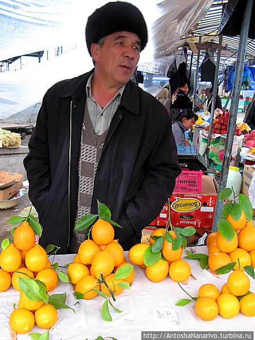 Узбекские лимоны. Они, кстати, дороже импортных, но лучше их в разы Узбекистан