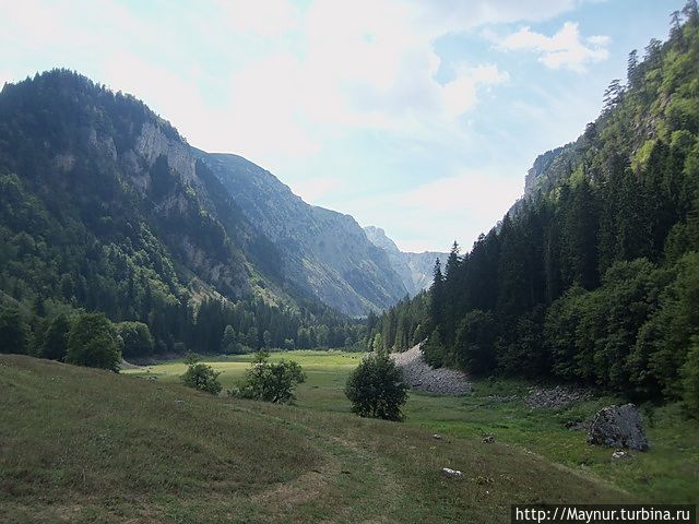 Вместо озера ровная полянка.По карте здесь должно быть озеро, исчезло!