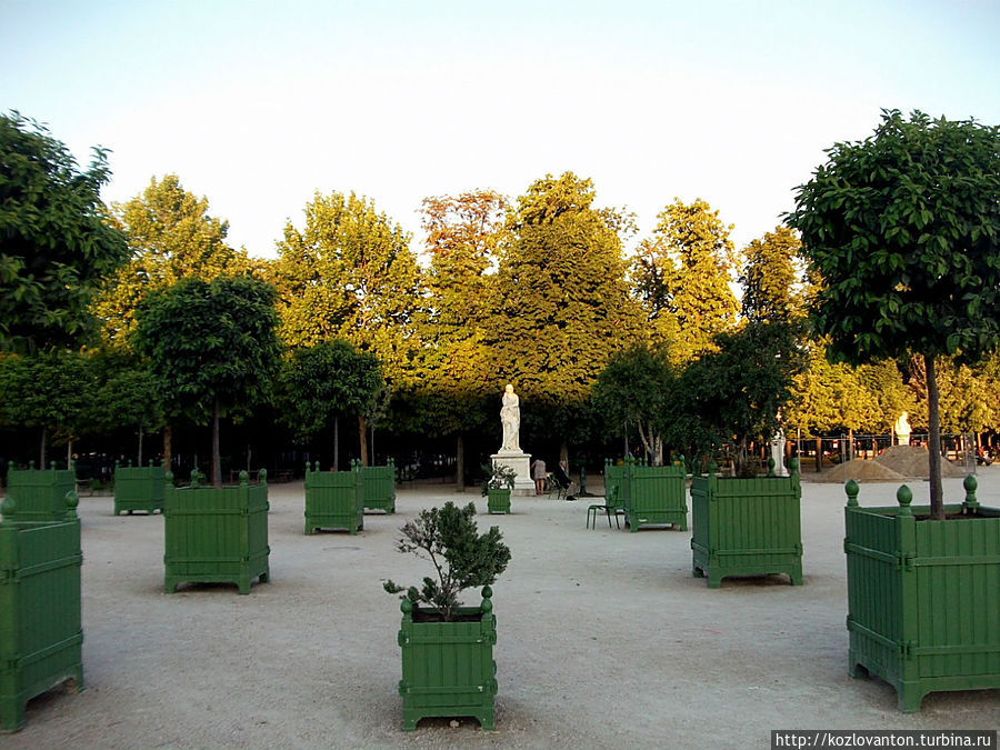 Слева от пруда в кадках растут, кажется, лимонные деревья.