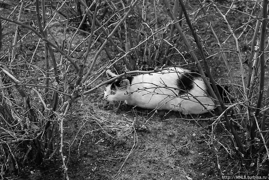 Казанский Кремль Казань, Россия