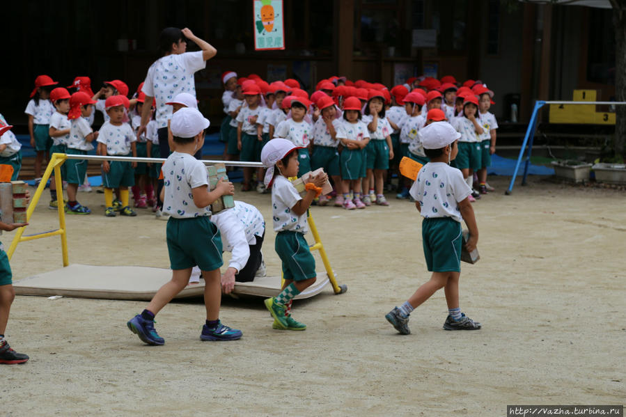 Спортивное представление