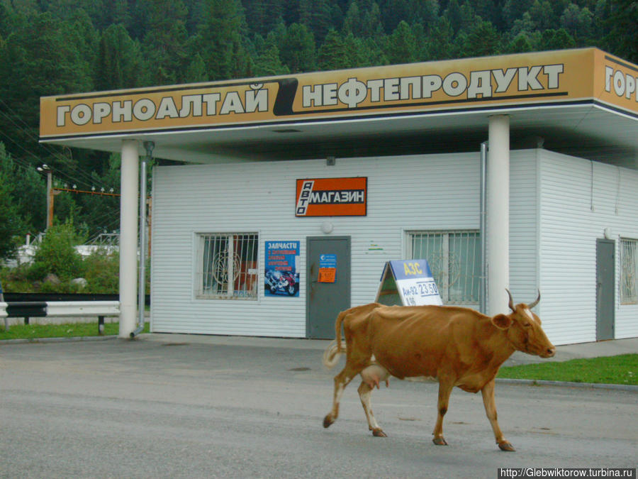 Магазин Артыбаш, Россия