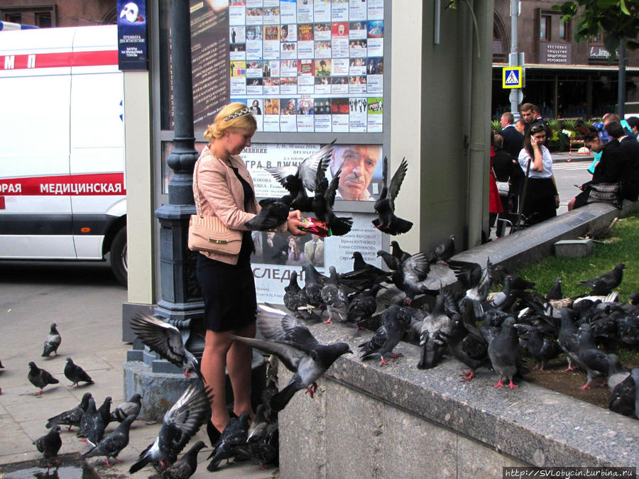Любительница голубей Москва, Россия