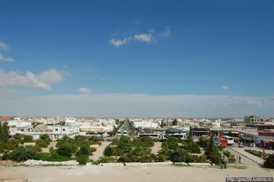 Зеленый и цветущий Тунис Тунис