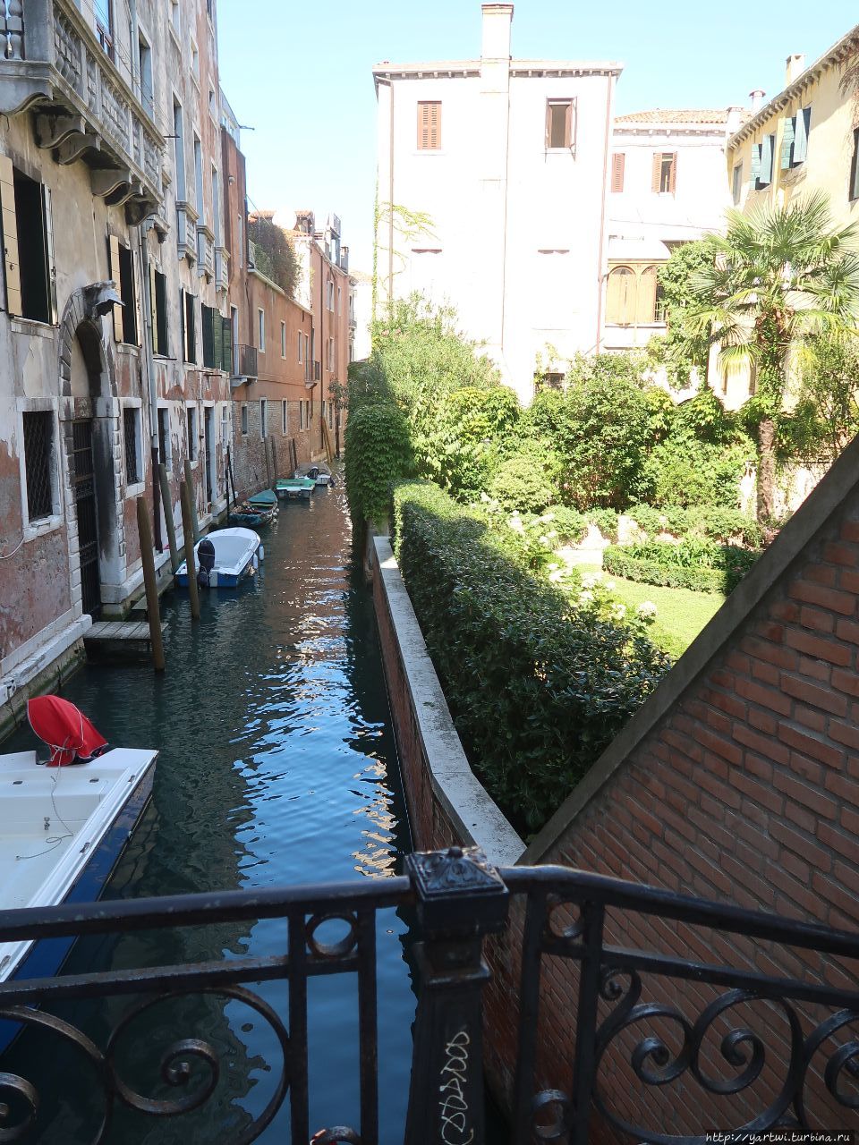 Сад и основной транспорт в Венеции на канале. Венеция, Италия
