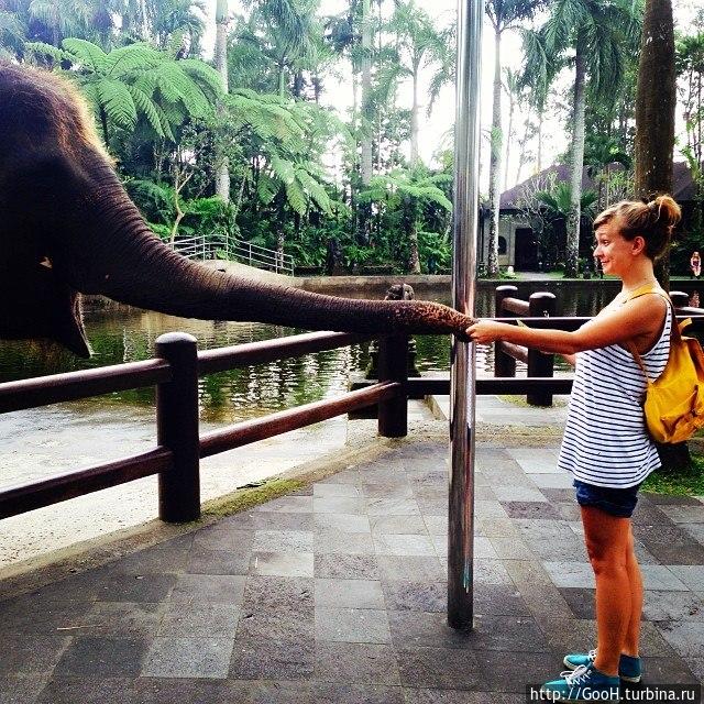 Парк слонов Бали, Индонезия