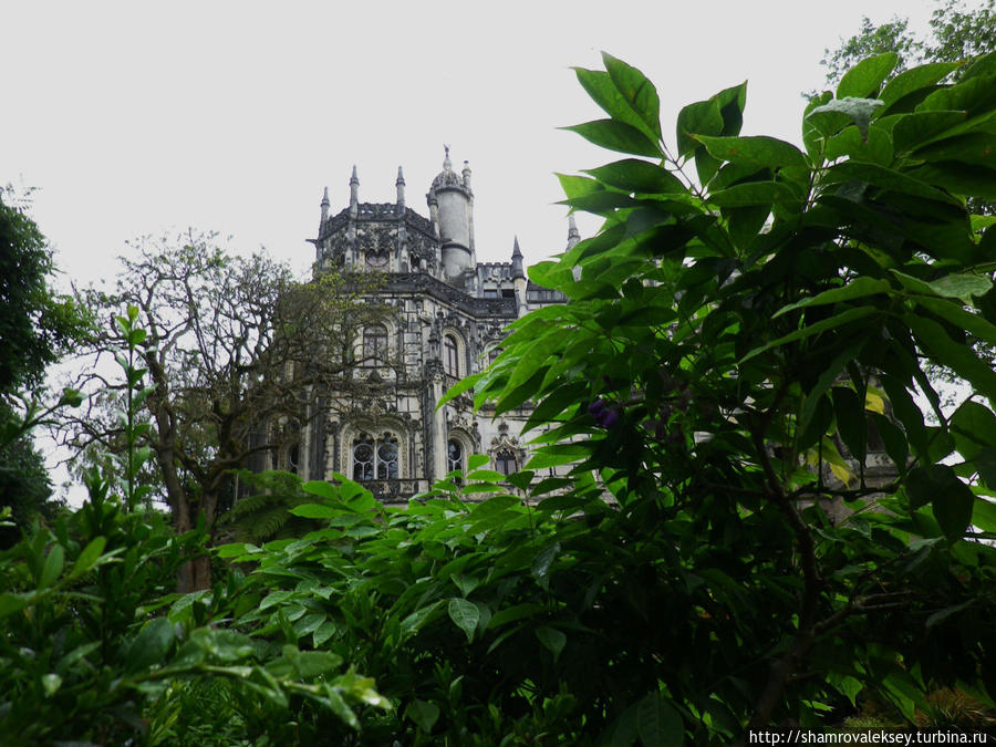 Синтра. Усадьба. Девять кругов Рая Синтра, Португалия