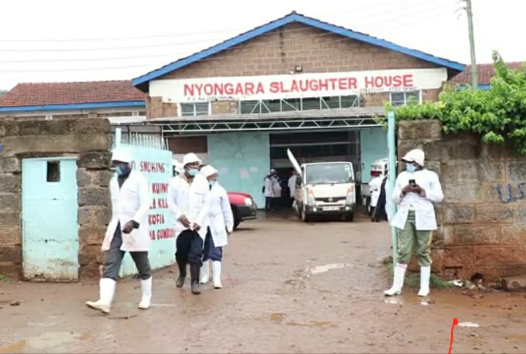 бойни Ньонгара Киамбу, Кения