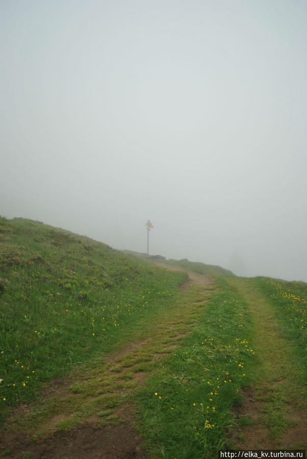 Ёжик в тумане Мюррен, Швейцария