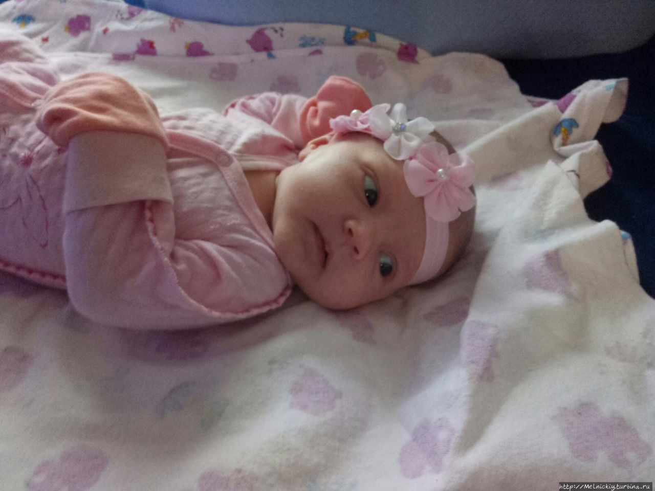 2017 — итоги Санкт-Петербург, Россия