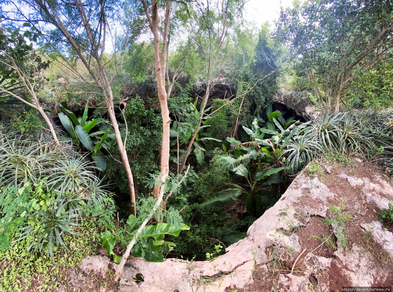 Известняковая пещера Ошкинток, Мексика