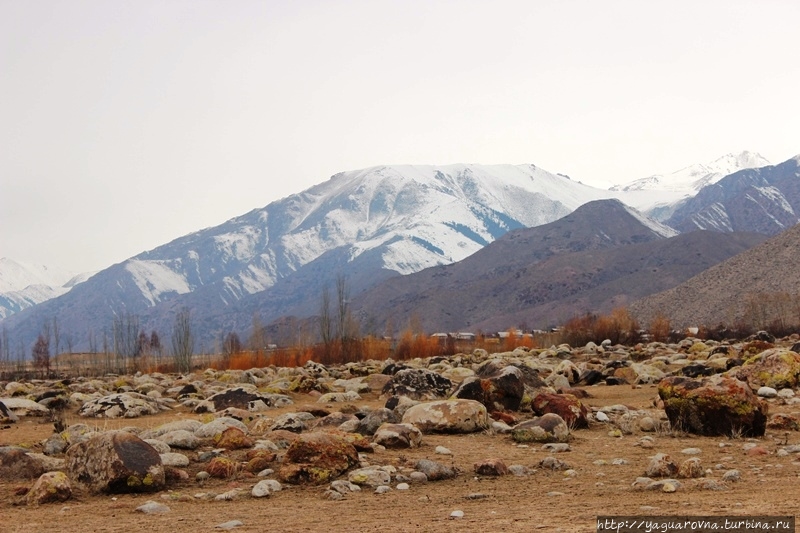 Петроглифы Саймалы Таш Чолпон-Ата, Киргизия