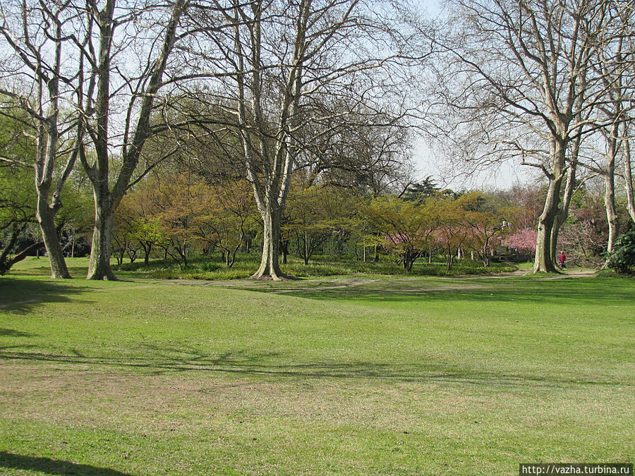 Зоопарк Шанхая. Продолжение. Шанхай, Китай