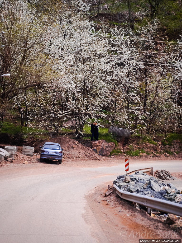 В Тегеране — проездом Тегеран, Иран