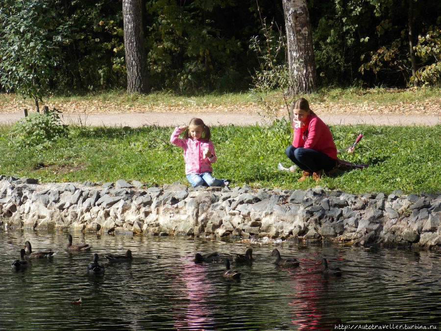 Он появился!!!