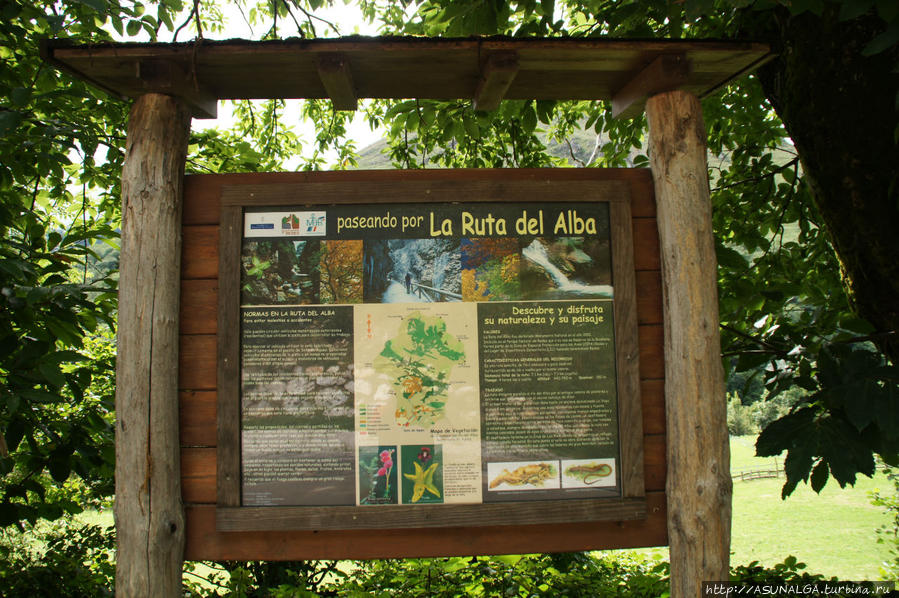 Сочетание флоры и фауны Астурия, Испания